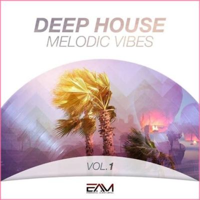  Needin' U - Melodic House Vibes With Deep Basslines